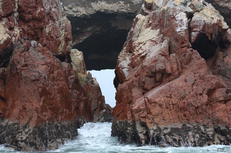 1181-Isole Ballestas,19 luglio 2013.JPG